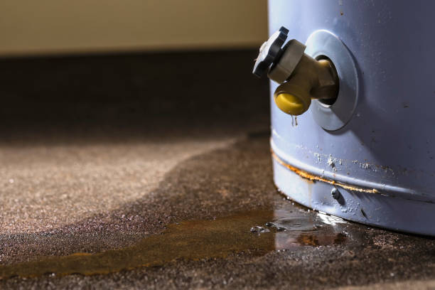 Best Sewage cleanup and water damage restoration  in Toona, AL