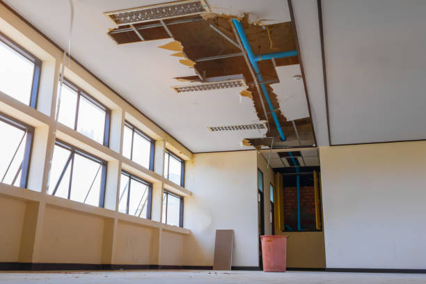 Best Ceiling water damage repair  in Toona, AL