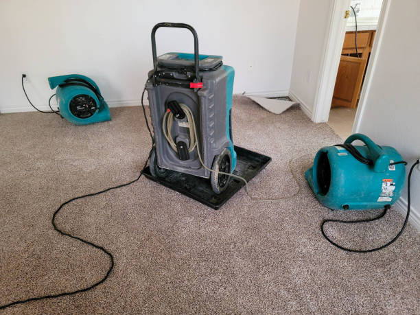 Best Residential water damage restoration  in Toona, AL