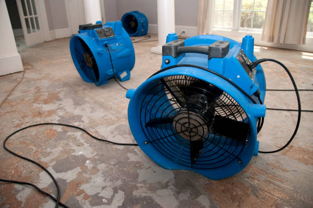 Best Commercial water damage restoration  in Toona, AL