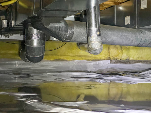 Best Water damage contractors near me  in Toona, AL