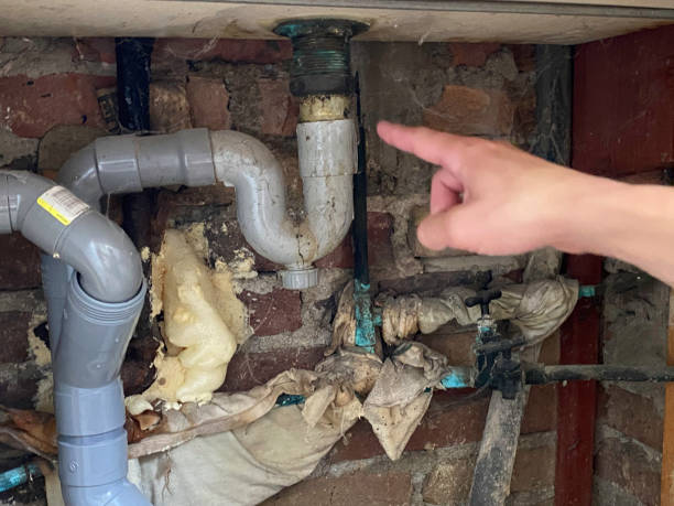 Professional Water damage restoration in Altoona, AL