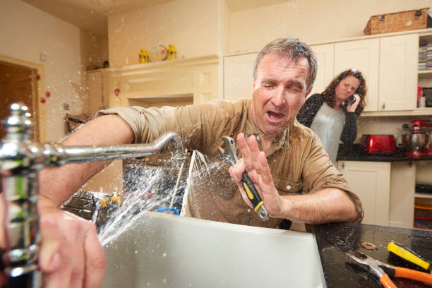 Best Water damage mitigation services  in Toona, AL